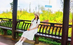 国产GV无码A片在线观看